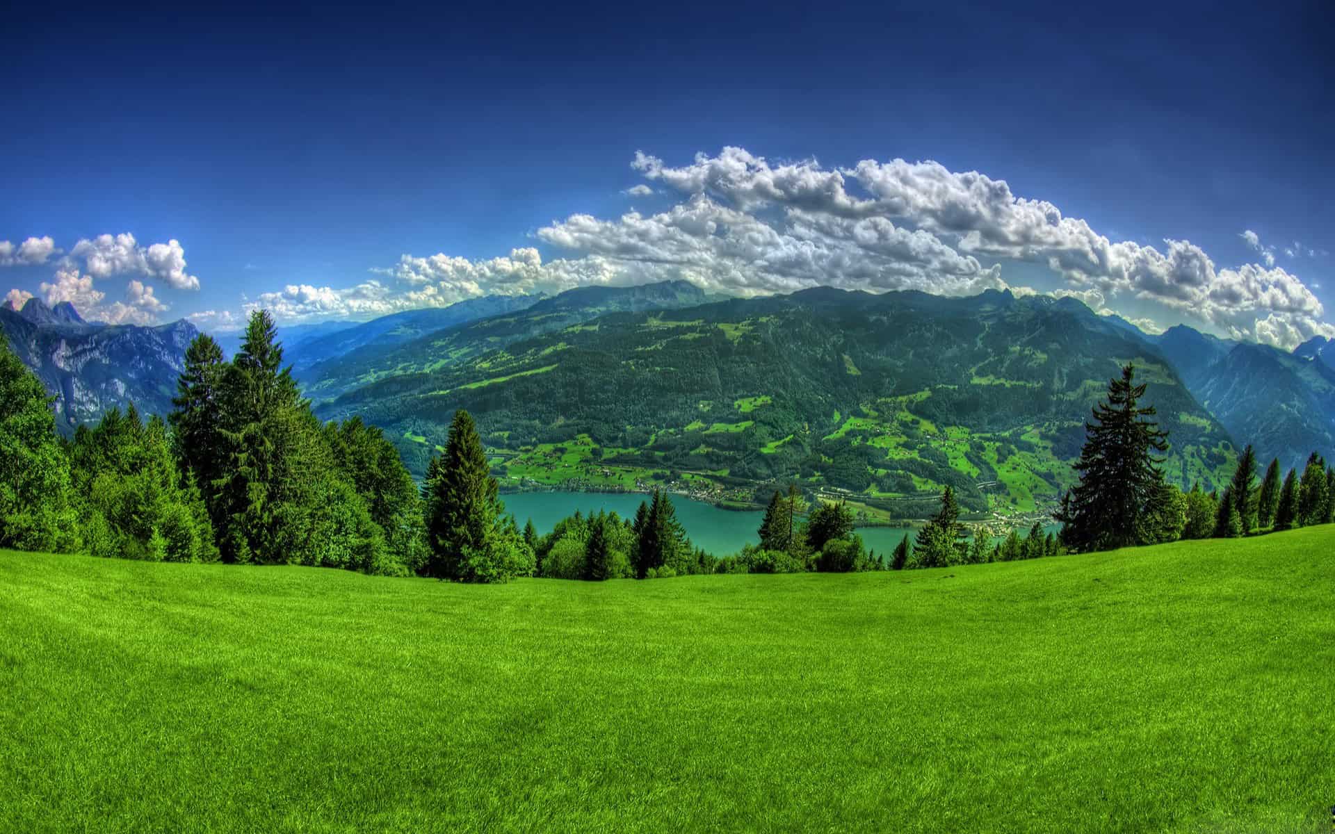 Green background